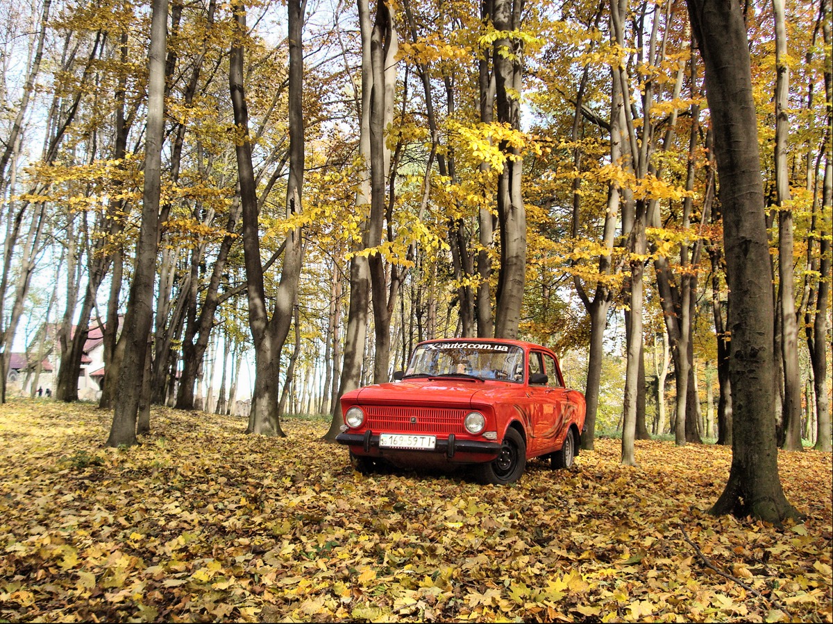 Осінній фотосет. Ч.1 - Осінній ліс 3