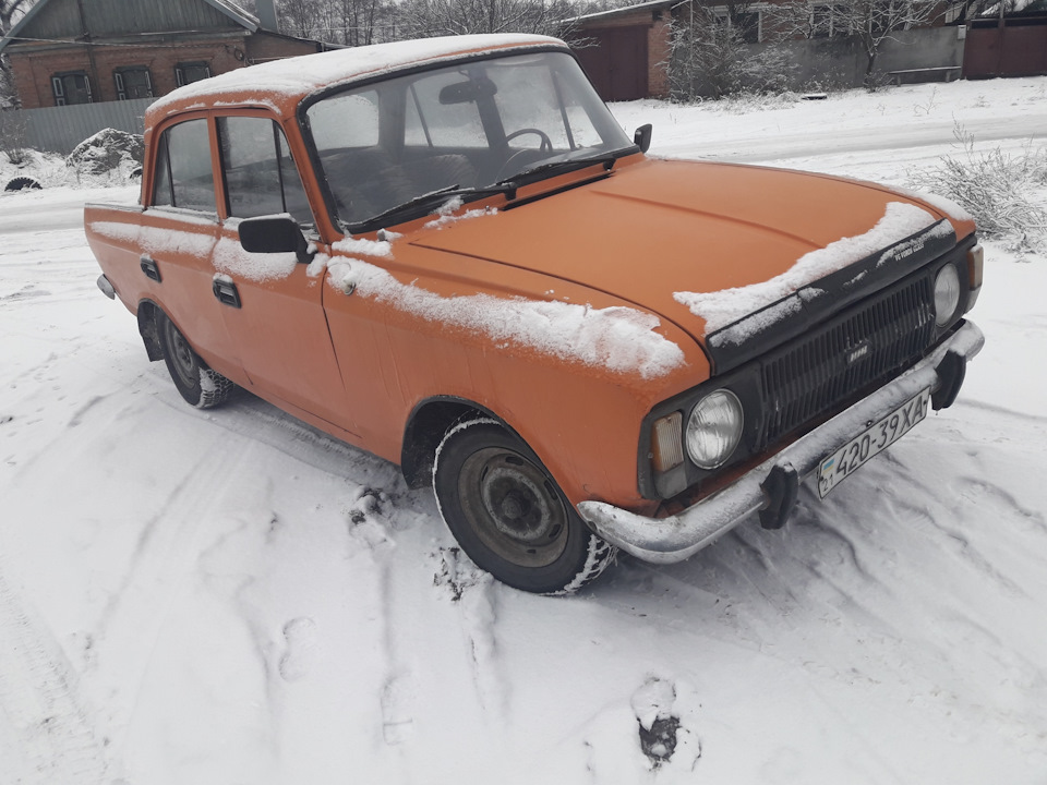 Фото в лісі 3