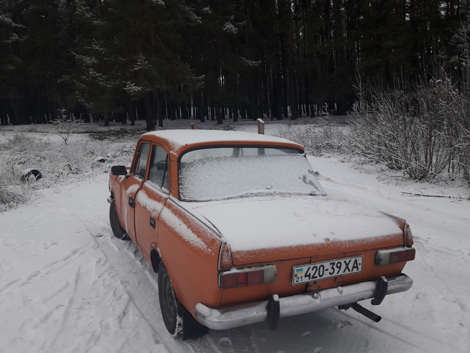 Фото в лісі 2