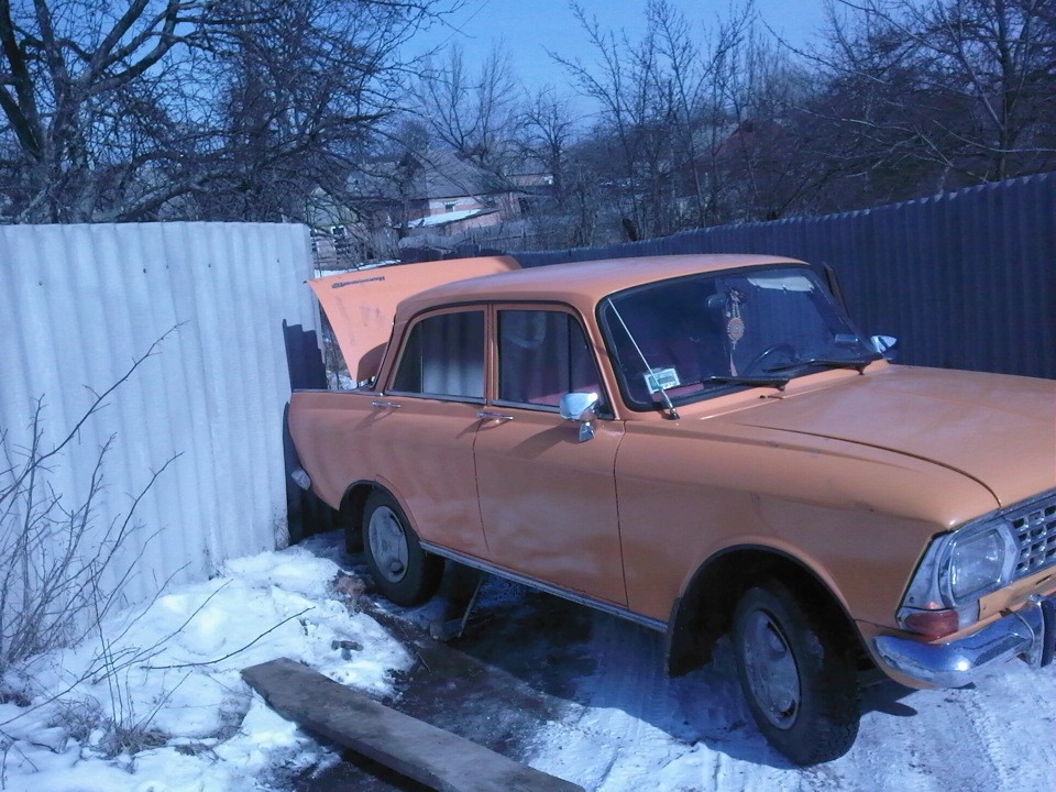 Зимове попадало 1