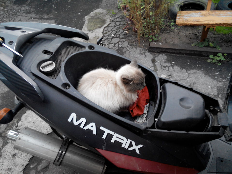 Мій двоколісний друг Viper Matrix 150cc 2007р.в. 3