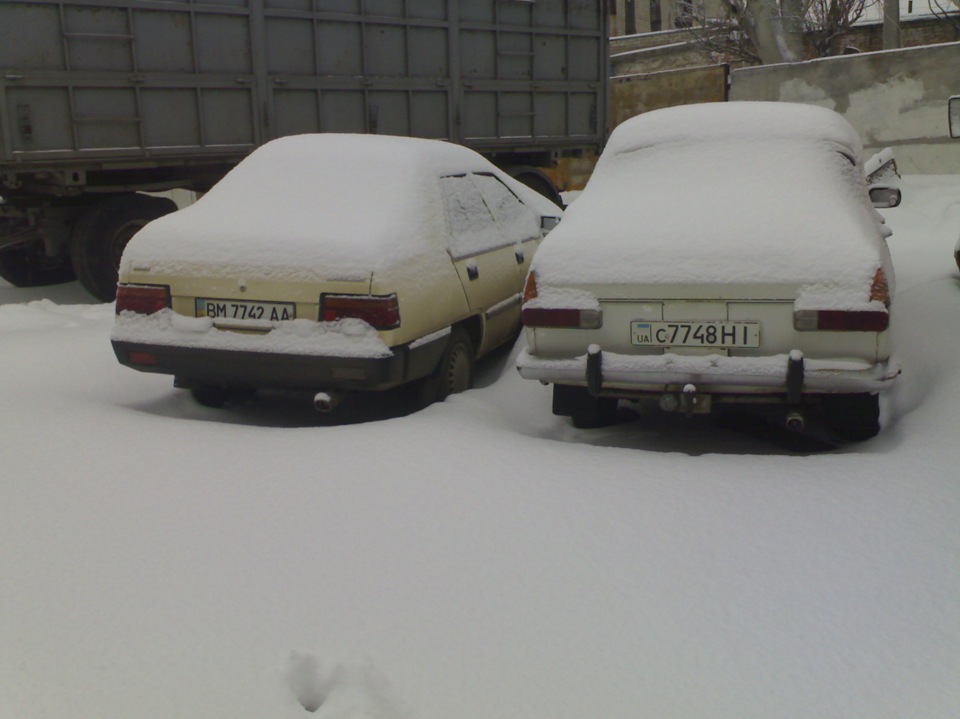 Сніжок). 1