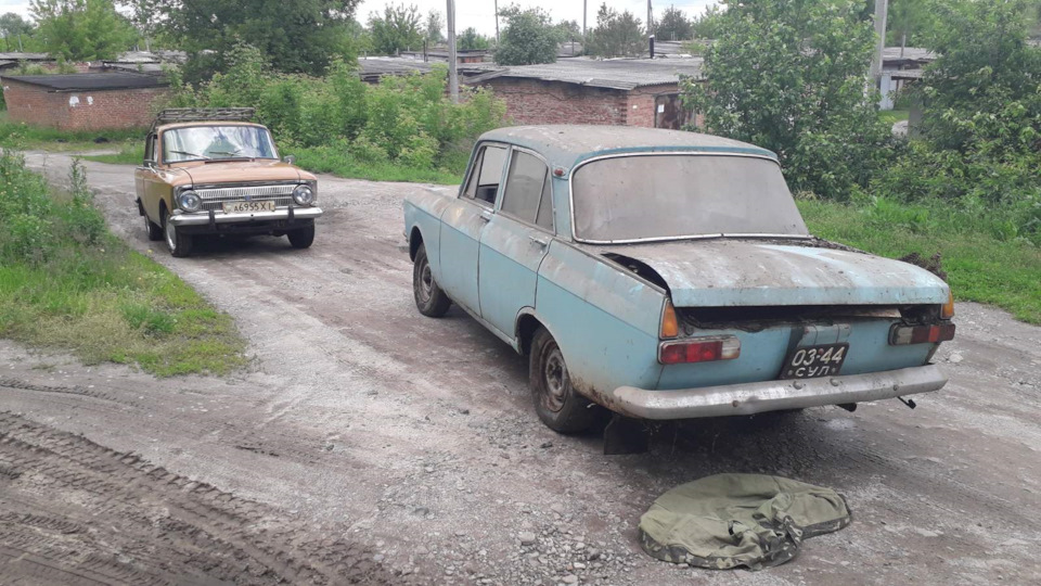 Купівля і на жаль розпив донора... 5