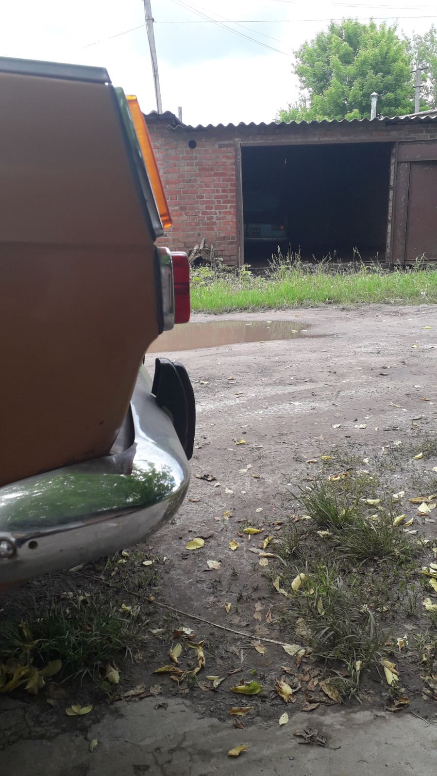 Купівля і на жаль розпив донора... 1