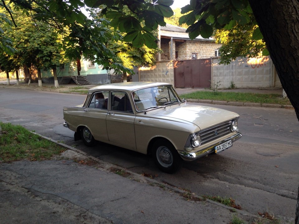Як Москвич допомагав весілля готувати... 3
