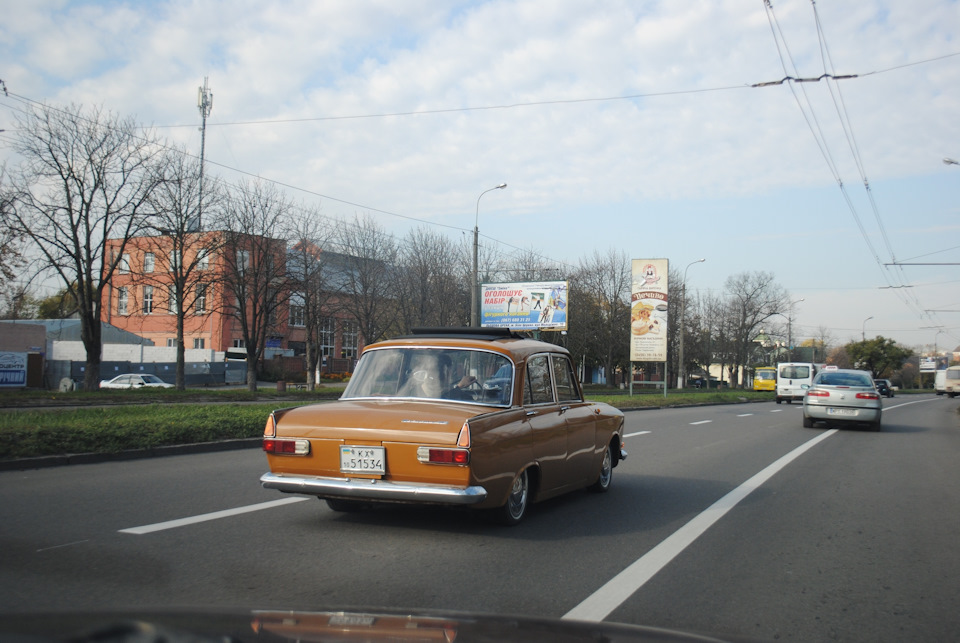 Дал-дал, пішов ... на зимівлю))) 1