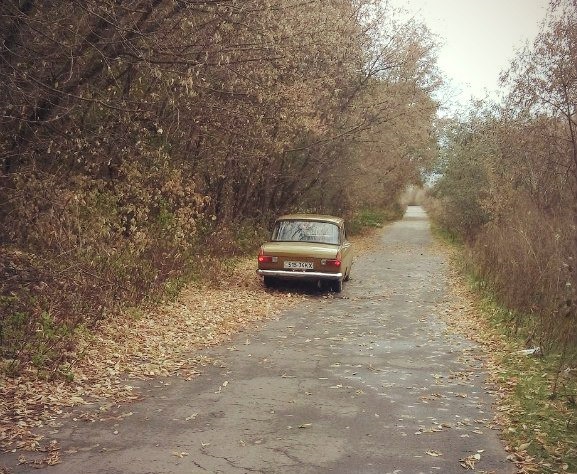 Осінній фотосет) 4