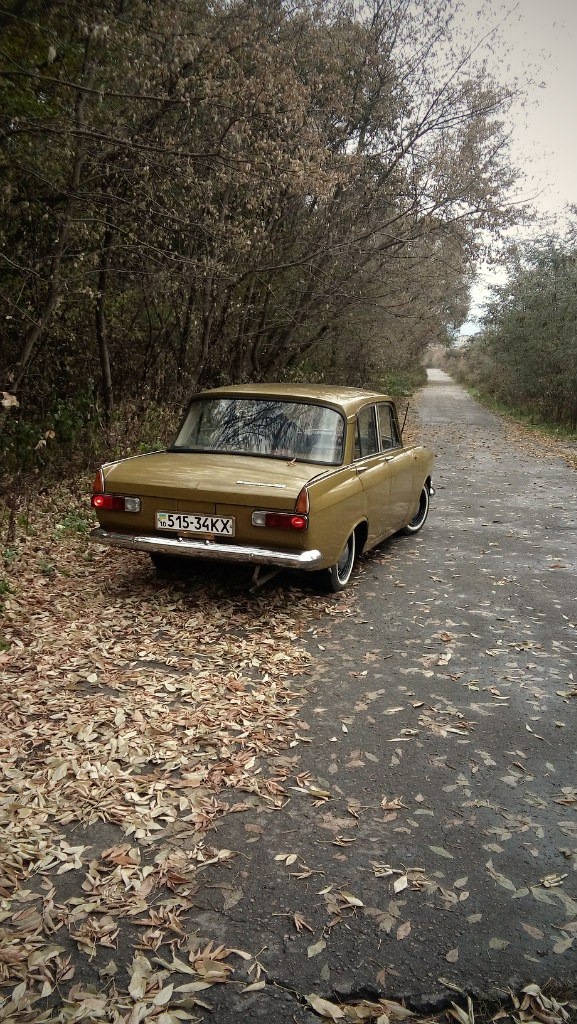 Осінній фотосет) 5