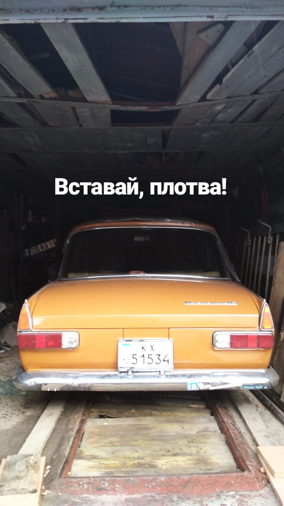 Плотва, ти ще жива? 1