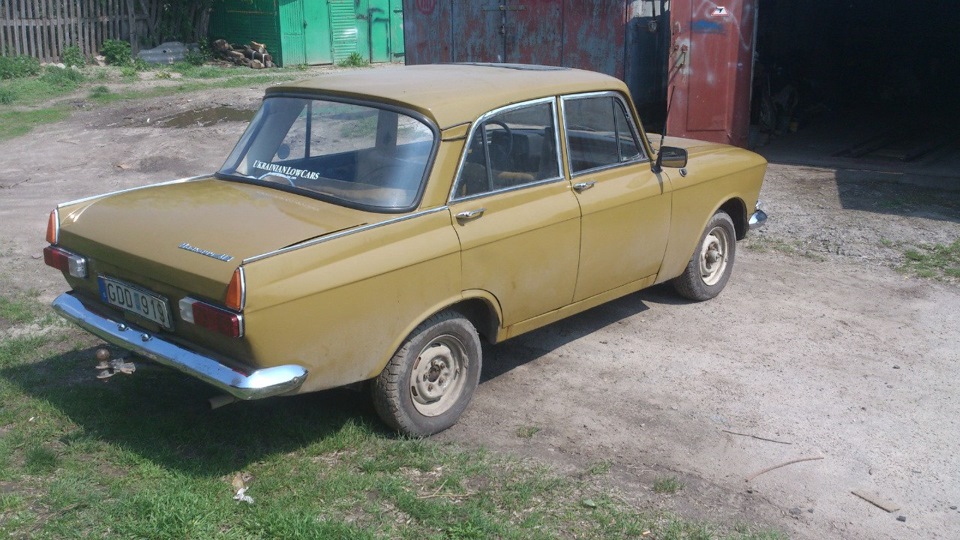 Підрізав підкрилки і зняв ікла 1
