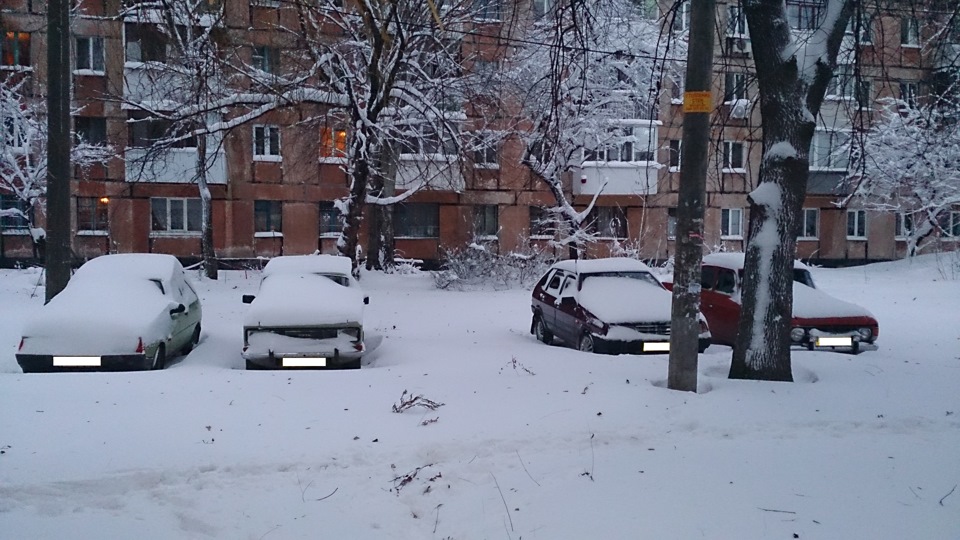 Зима 2015 3