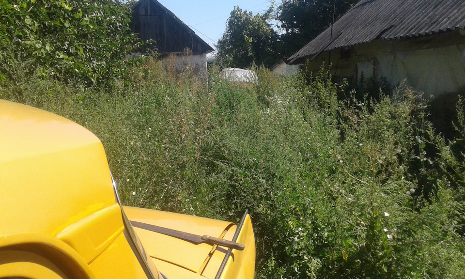 Це має бути запис про ікла 2