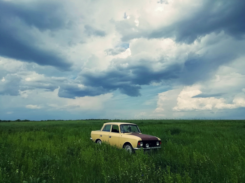 Вісті з полів. 3
