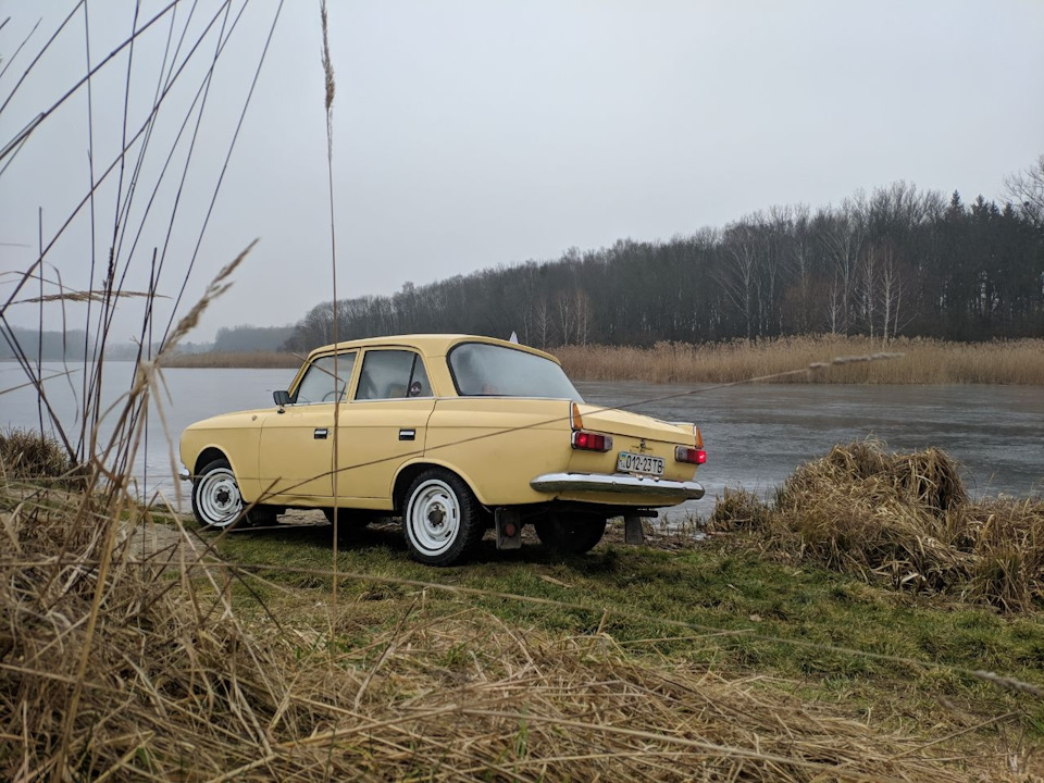 Виїхали вигуляти Москвичів) 2