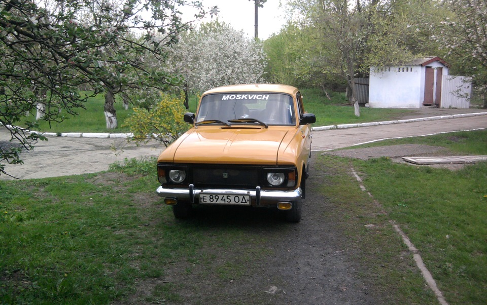 Трохи фото 2