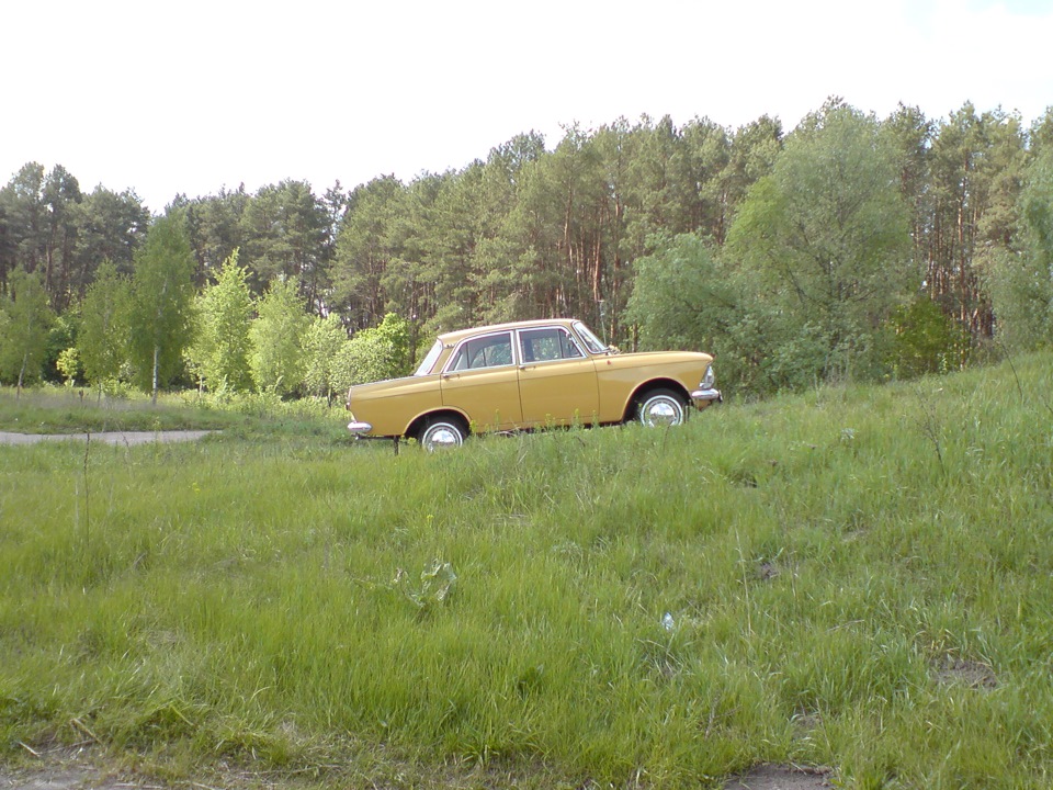 фото сесія на природі №1 5