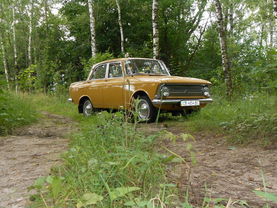 на природі у лісі 3