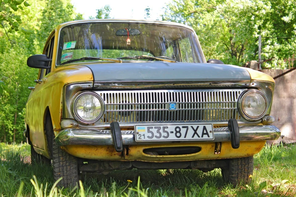 Трохи фото Мося)