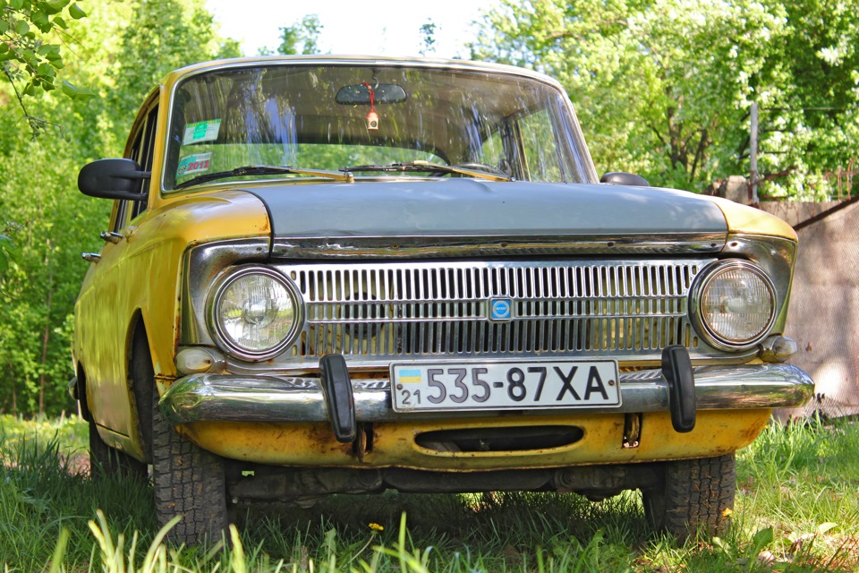 Трохи фото Мося) 1