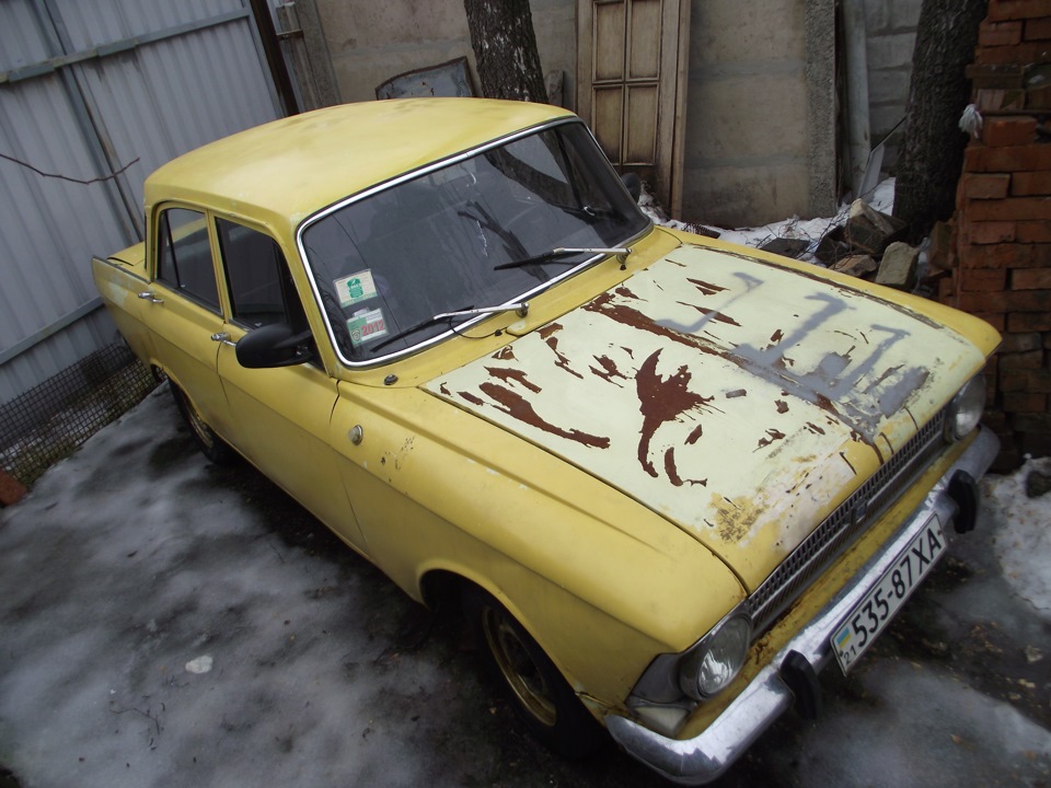 Трохи фото Мося) 4