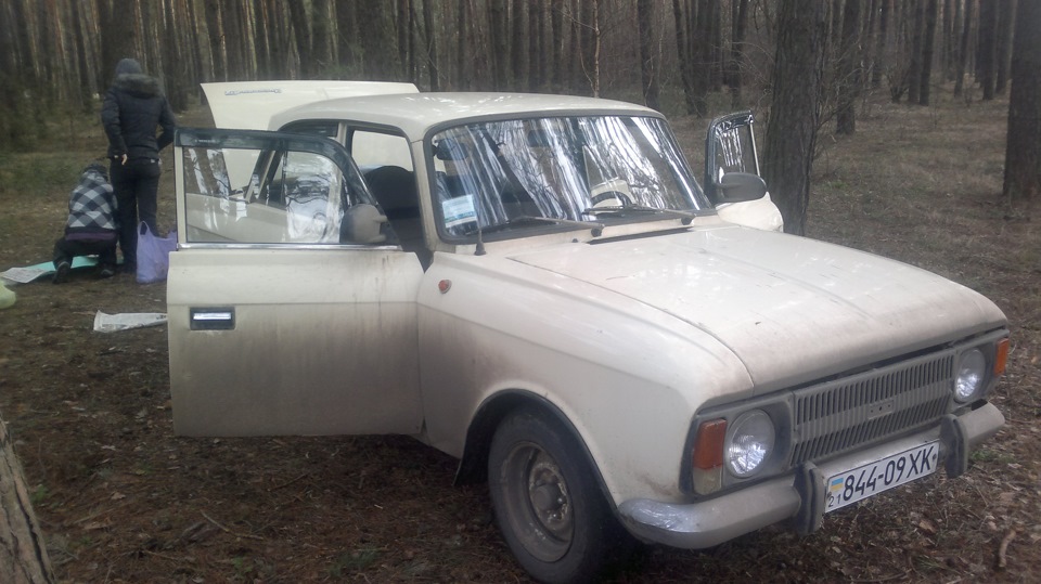 23 лютого на природі 5