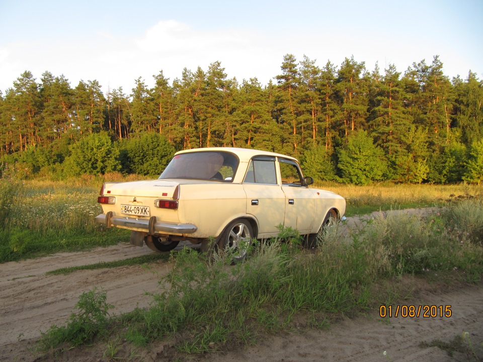 Фото на природі 4