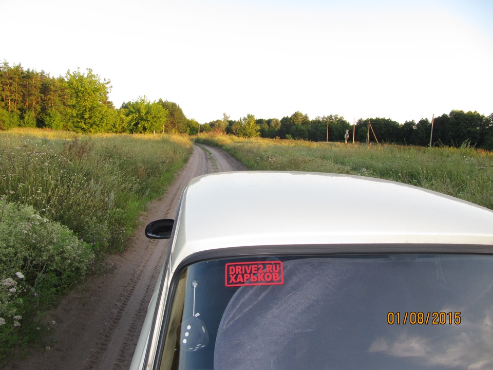 Фото на природі 1