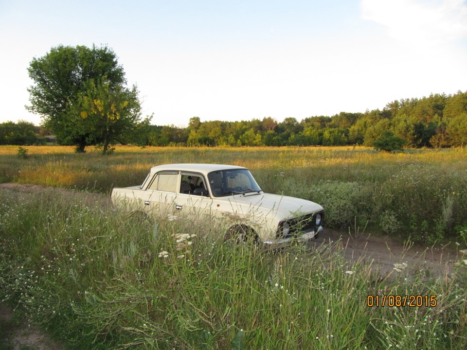 Фото на природі 3