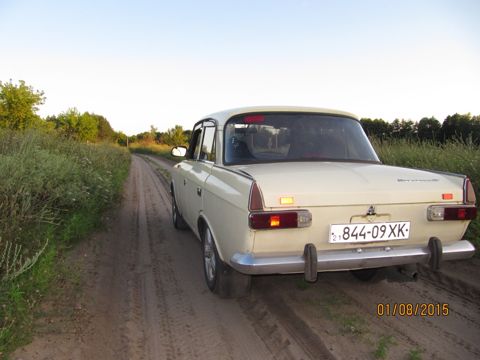 Фото на природі 2