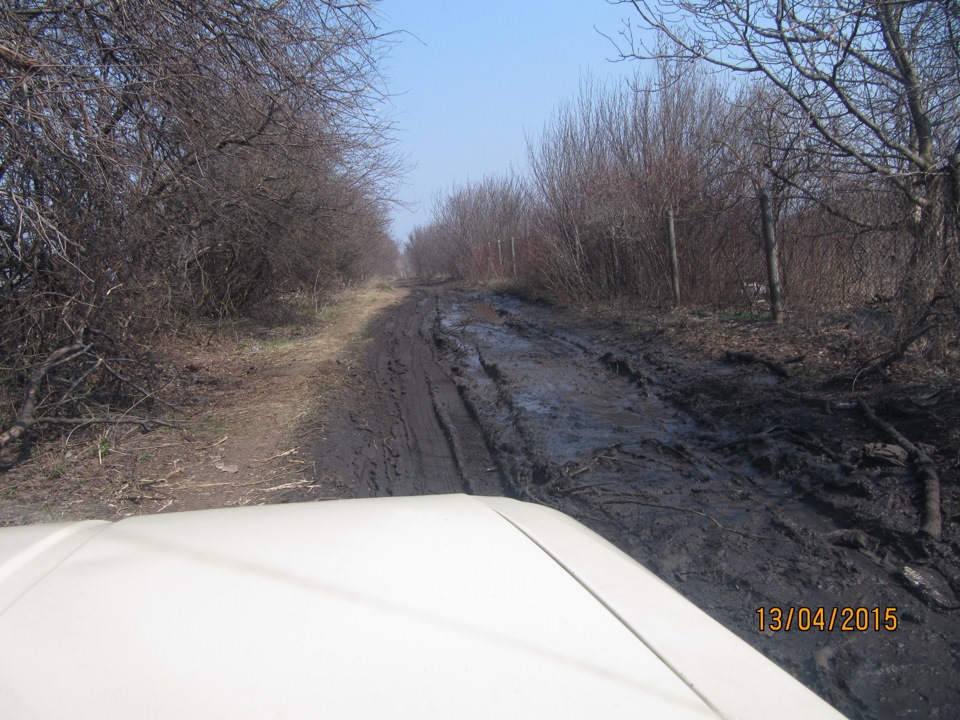 Фото з весни 3