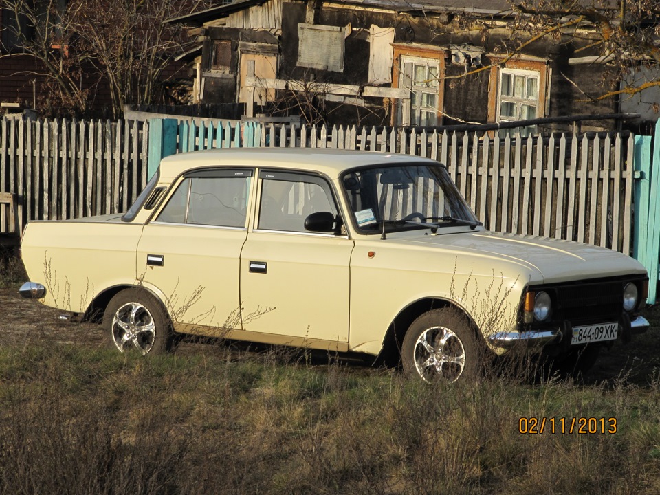Моська образився 2