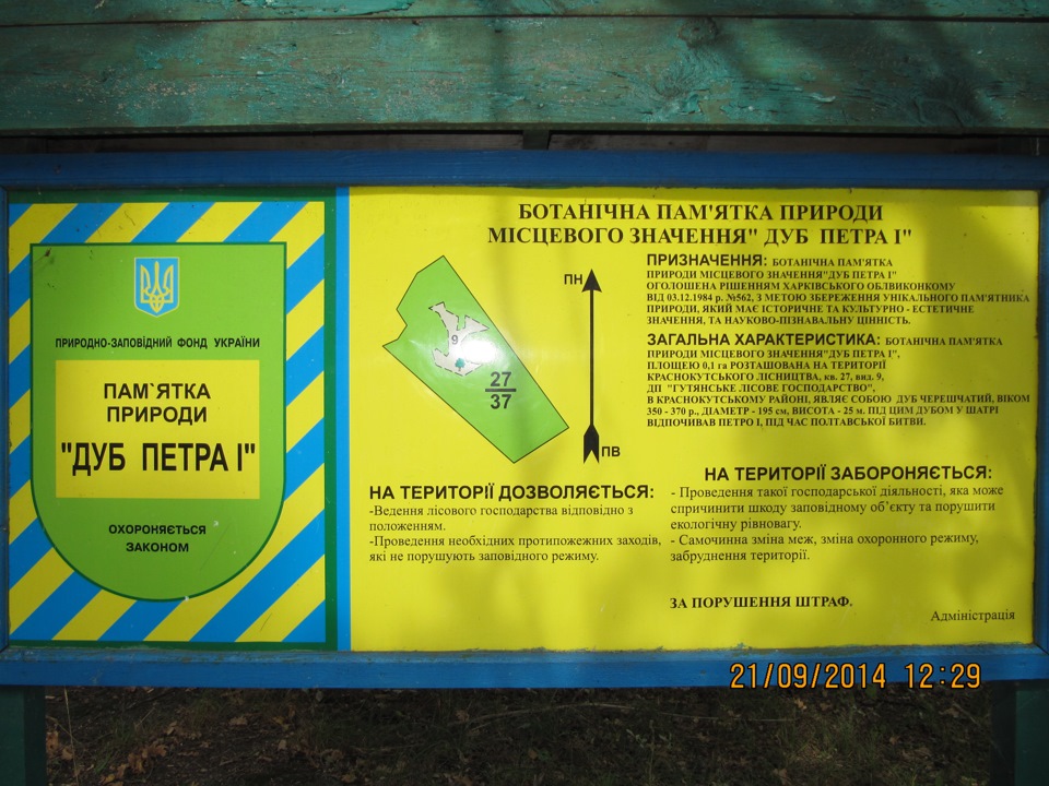 Поїздка до села (ч.2 Диканька, Дуб Петра I) 2