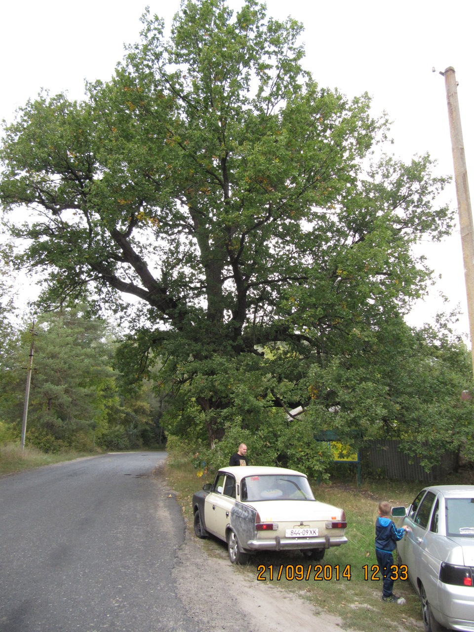 Поїздка до села (ч.2 Диканька, Дуб Петра I) 3