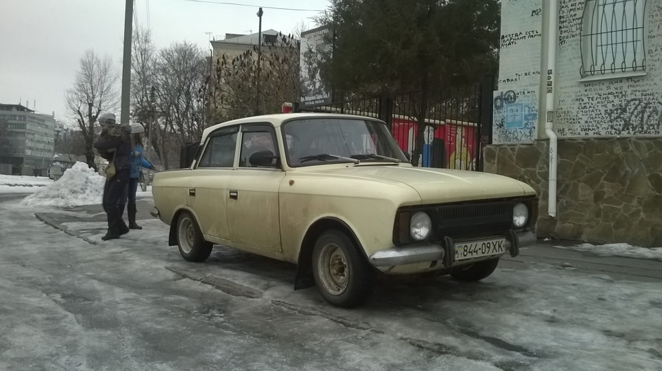 Прокотилися до ветеринара 3