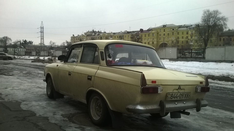 Прокотилися до ветеринара 5