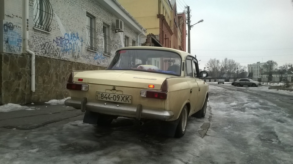 Прокотилися до ветеринара 4