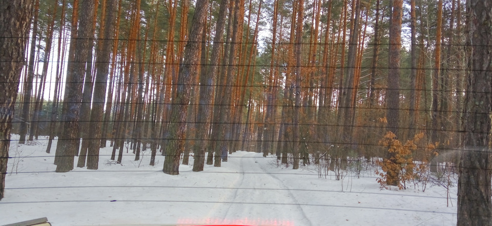 Заднє скло з обігрівом 2