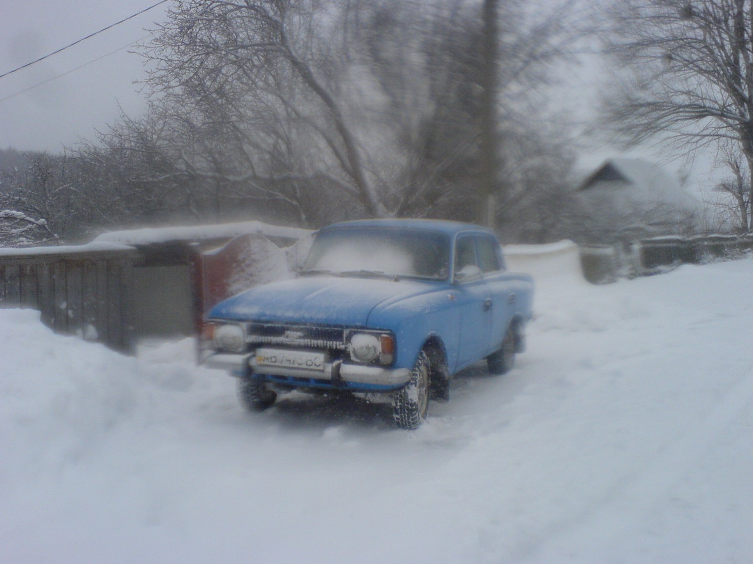 зима.06.01.2010 1