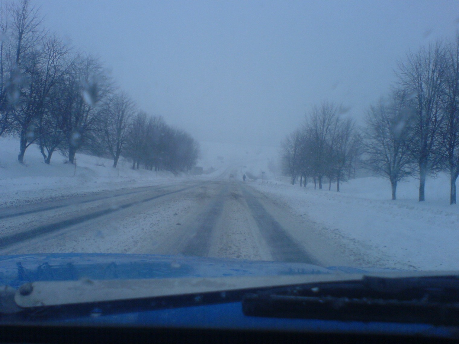 зима.06.01.2010 2