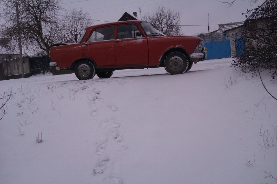Зимуємо 5