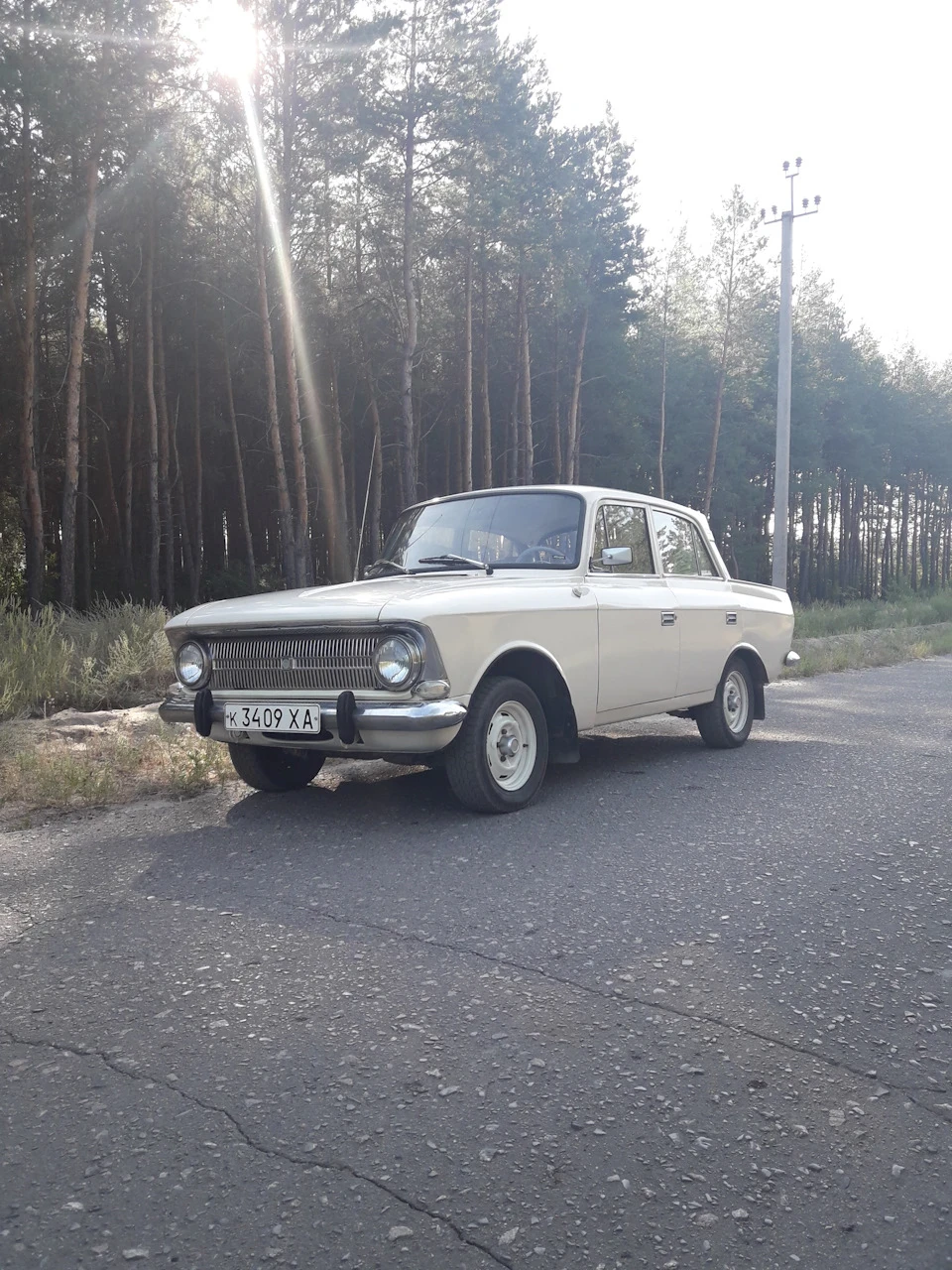 Фото в ранковому лісі