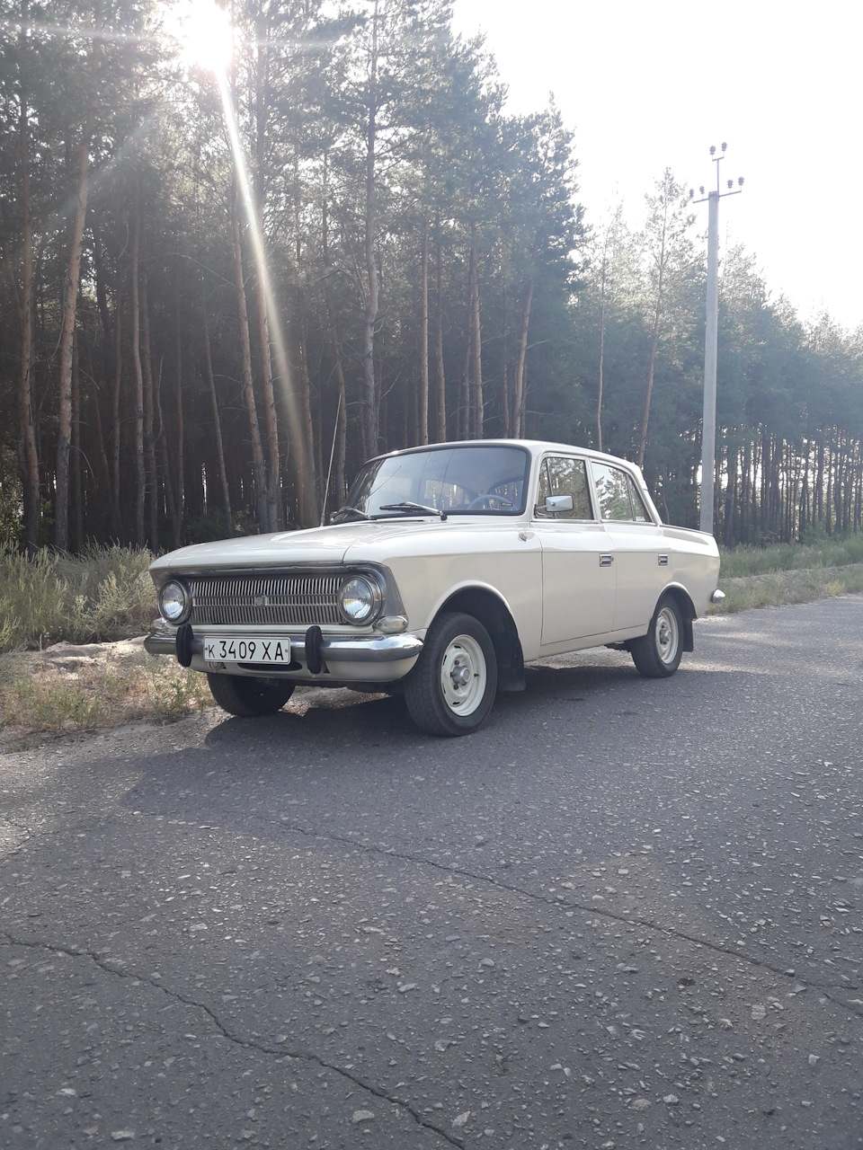 Фото в ранковому лісі 1