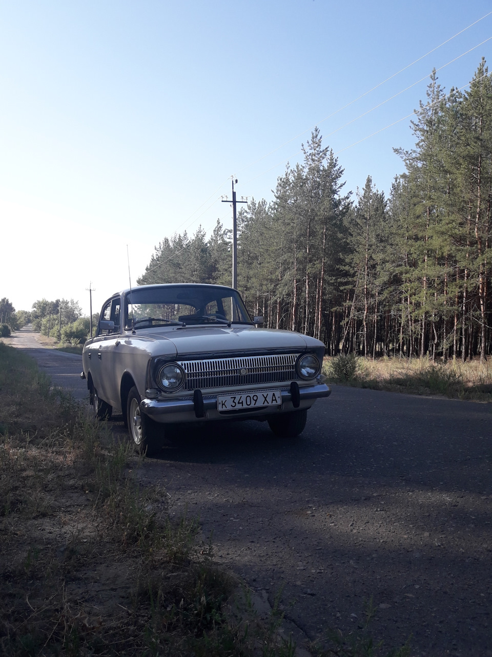 Фото в ранковому лісі 3