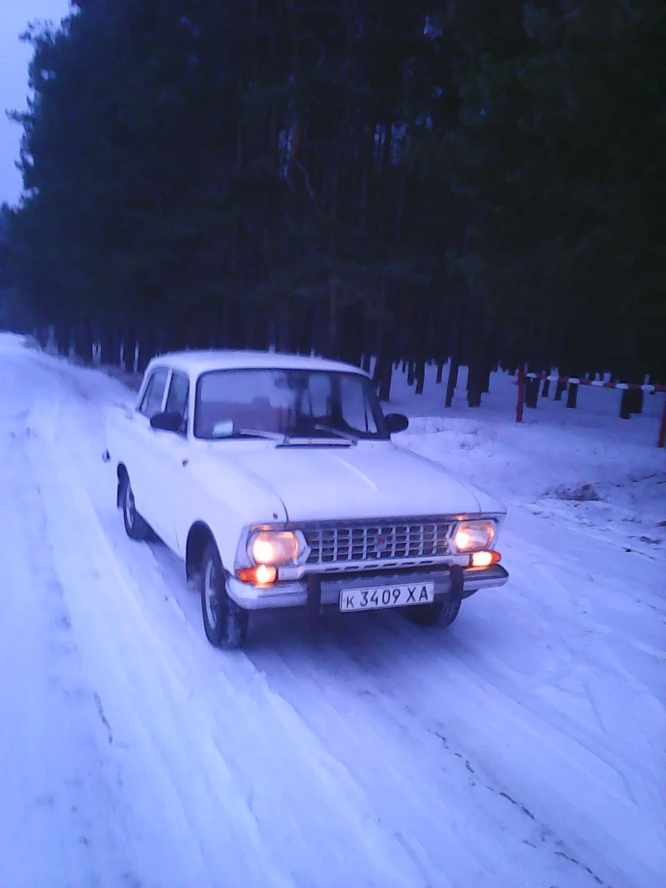 Лісова прогулянка