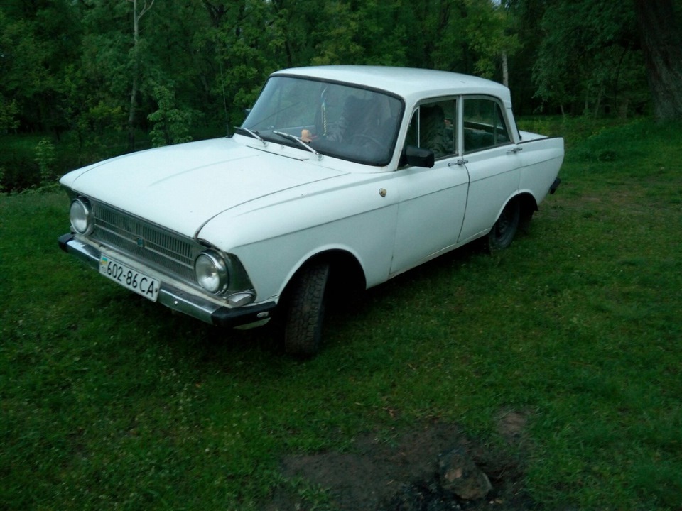Фото сет 5