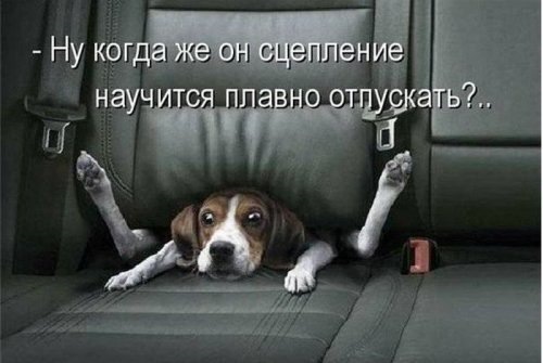 Заміряла витрату палива на іно карбі))) 3