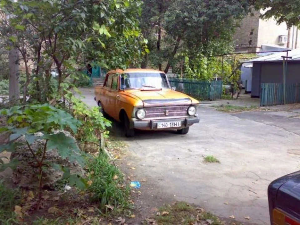 коротка історія мого моськи
