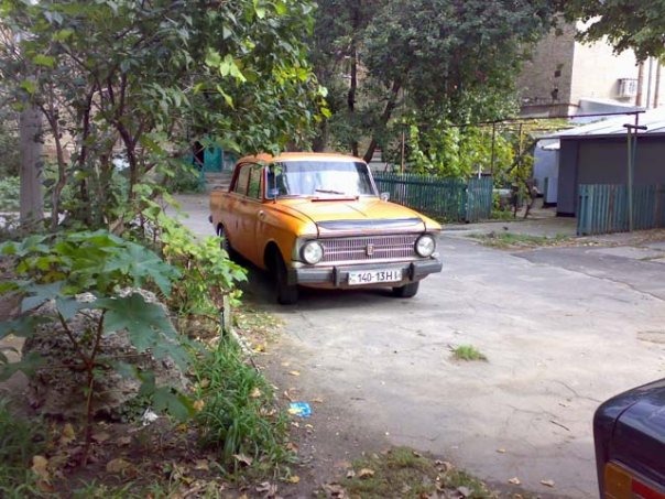 коротка історія мого моськи 1