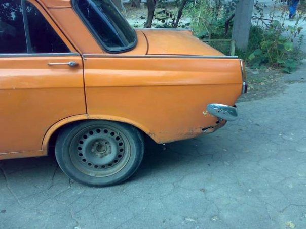 коротка історія мого моськи 4