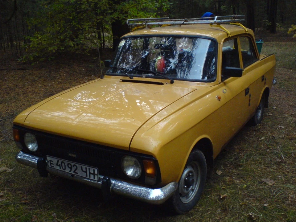 Гроза грибів